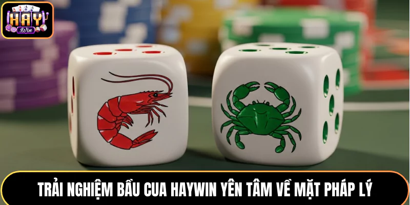 Trải nghiệm Bầu Cua HAYWIN yên tâm về mặt pháp lý