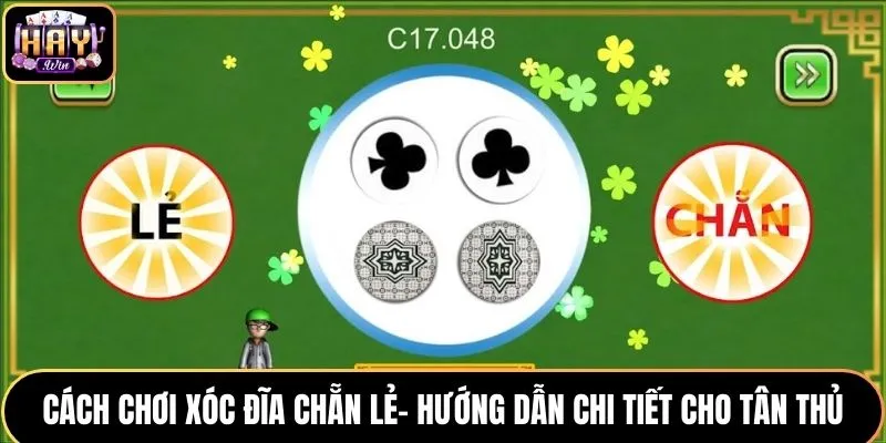 Cách Chơi Xóc Đĩa Chẵn Lẻ - Hướng Dẫn Chuẩn Cho Tân Thủ