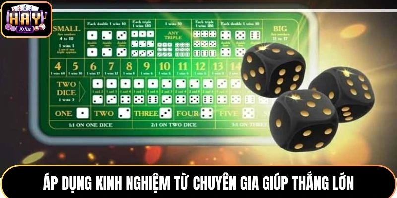 Áp dụng kinh nghiệm từ chuyên gia giúp thắng lớn