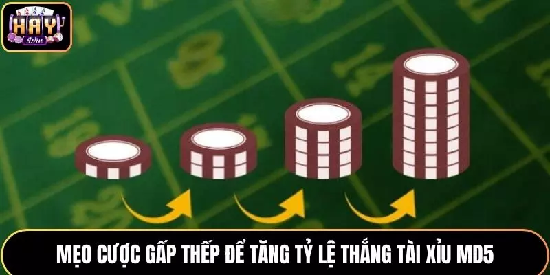 Chiến thuật cược gấp thếp là mẹo đánh Tài Xỉu MD5 hay