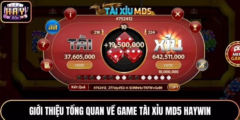 Giới thiệu đôi nét thông tin về game Tài Xỉu MD5 HAYWIN