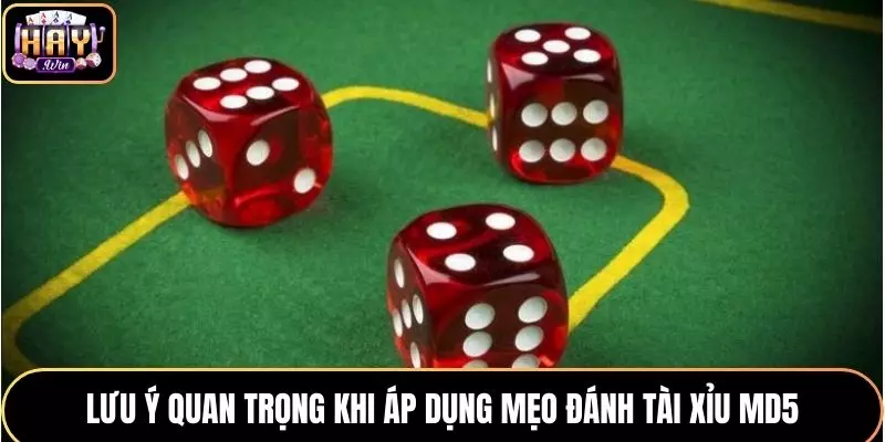 Một số lưu ý giúp bạn tăng tỷ lệ thắng hiệu quả tại HAYWIN