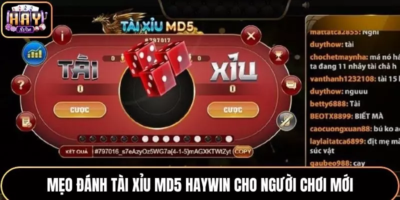 Mẹo Đánh Tài Xỉu MD5 Cực Hay Cho Người Mới Tại HAYWIN
