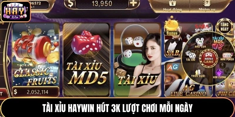 Tài xỉu HAYWIN hút 3k lượt chơi mỗi ngày