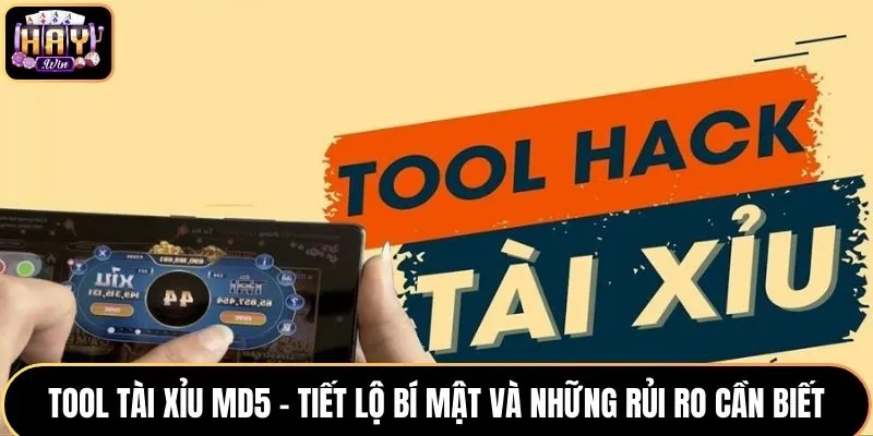 Tool Tài Xỉu MD5 - Tiết Lộ Bí Mật Và Những Rủi Ro Cần Biết