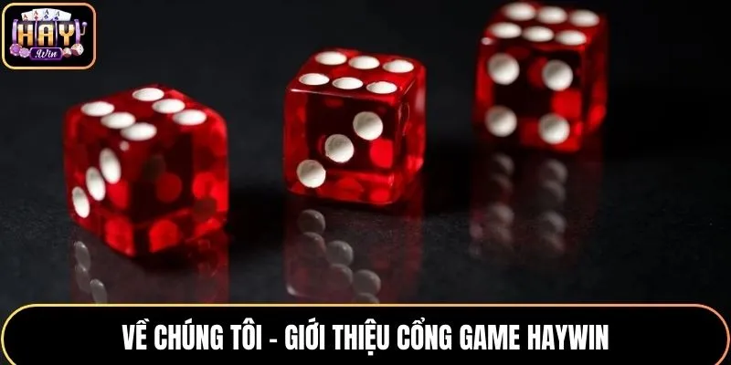 Về Chúng Tôi - Trang Giới Thiệu Chi Tiết Về Cổng Game HAYWIN