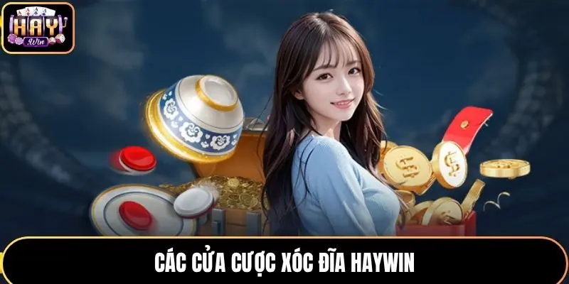 Các cửa cược Xóc Đĩa HAYWIN
