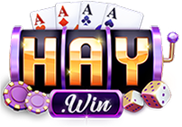 1haywin.com