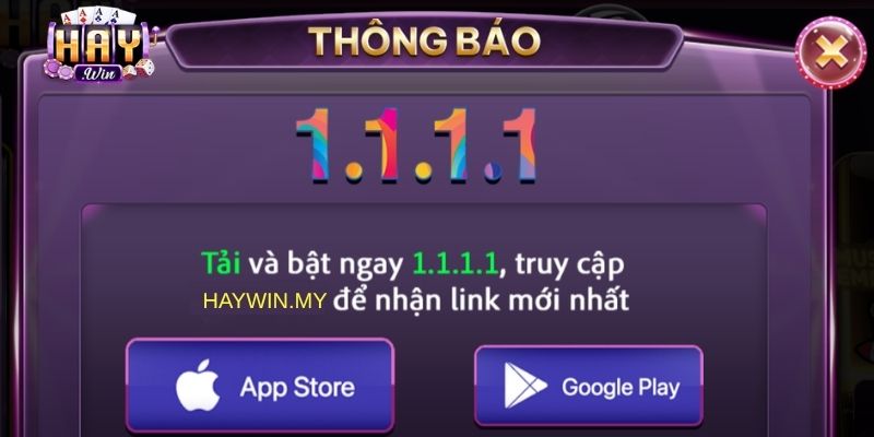 Những Lưu Ý Quan Trọng Khi Thực Hiện Tải Haywin