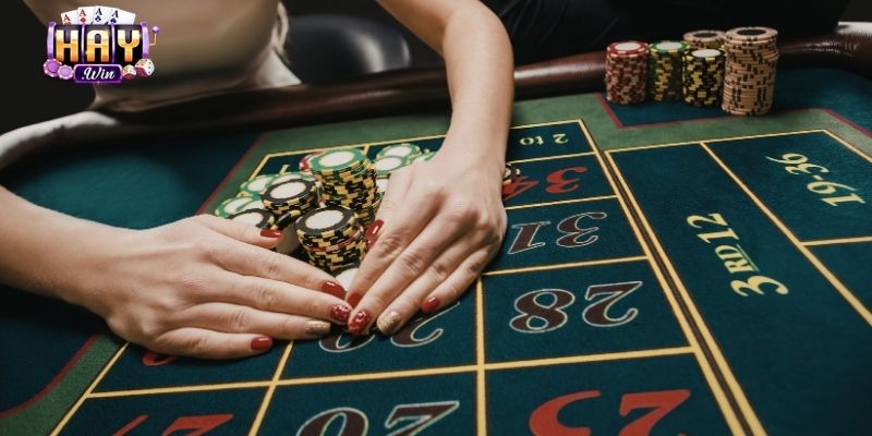 Quản Lý Vốn Và Tối Ưu Lợi Nhuận Khi Đăng Nhập Haywin
