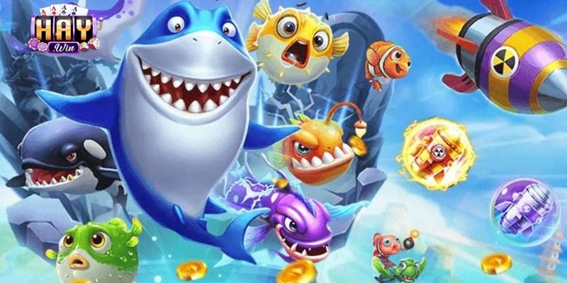 Sảnh game Haywin và những sảnh săn cá đỉnh cao không thể bỏ lỡ
